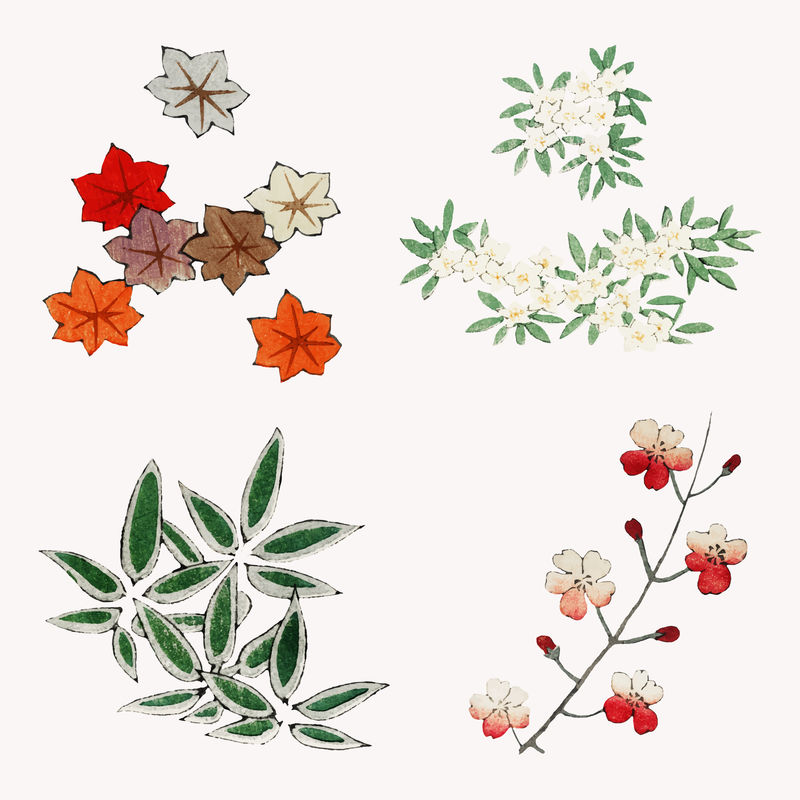 日本花卉装饰元素psd套装Watanabe Seitei艺术品混音