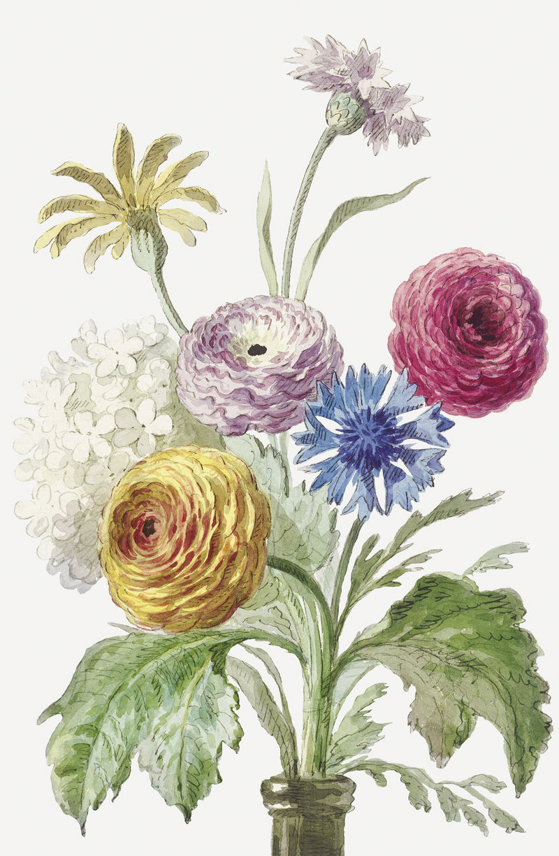 复古花卉插画psd威廉·范·莱恩艺术作品的混音