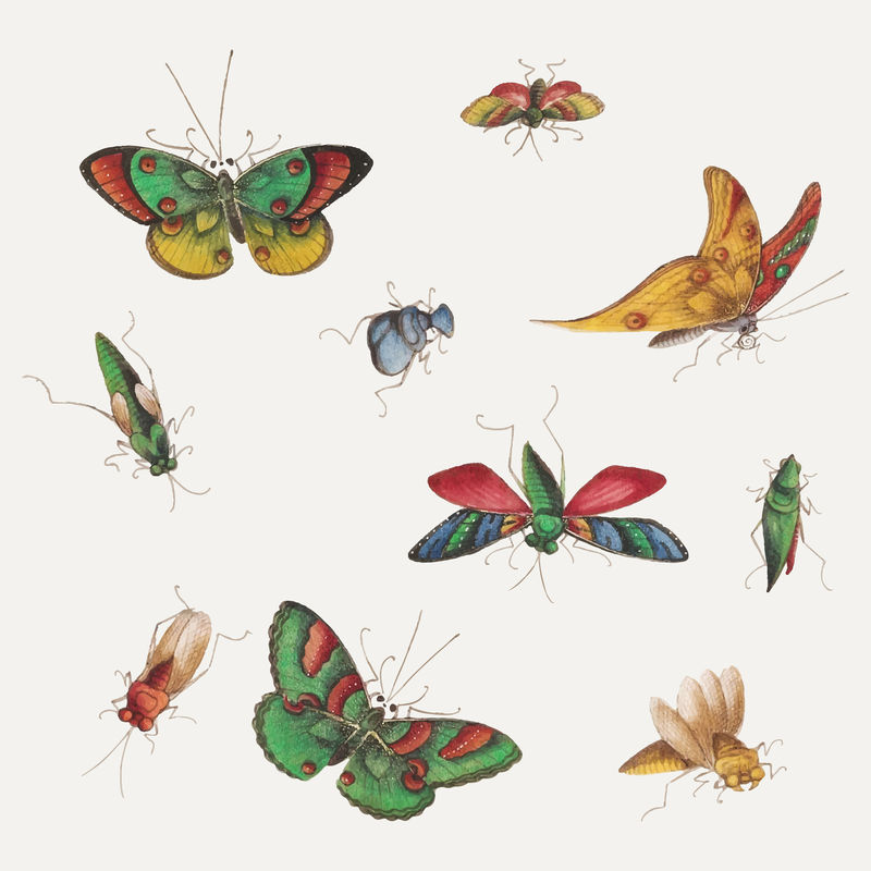 复古蝴蝶和昆虫插图集向量