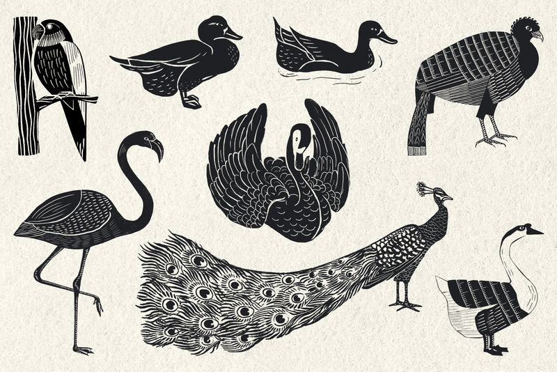 鸟类psd黑色linocut模板图案绘图集