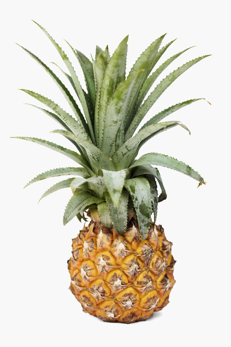 白色背景上分离的新鲜菠萝插图