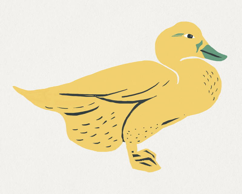黄色鸭鸟psd复古模板图案