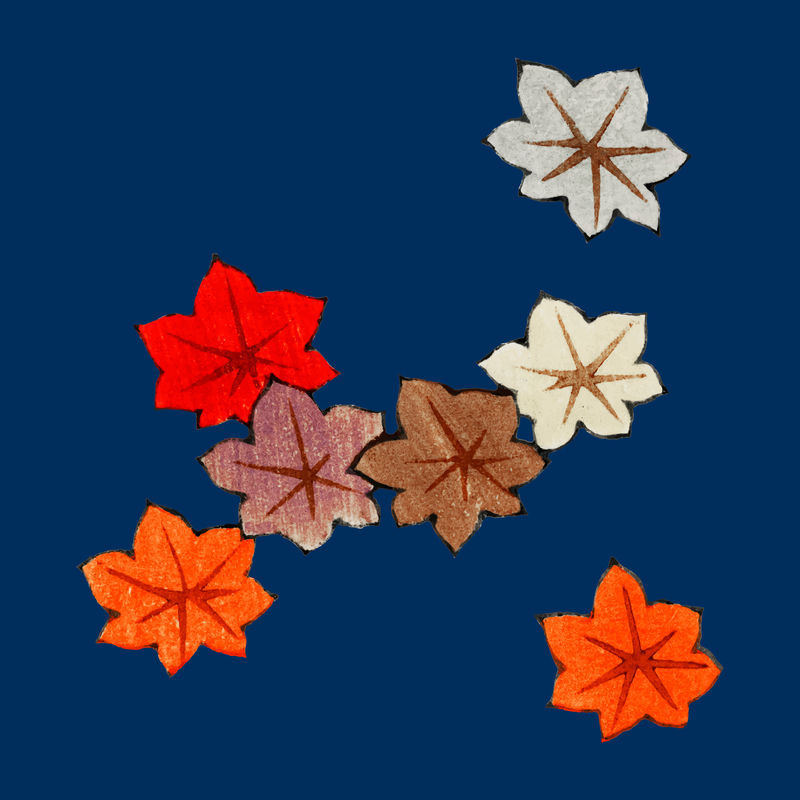 传统日本枫叶矢量装饰元素渡边胜泰艺术作品的混音