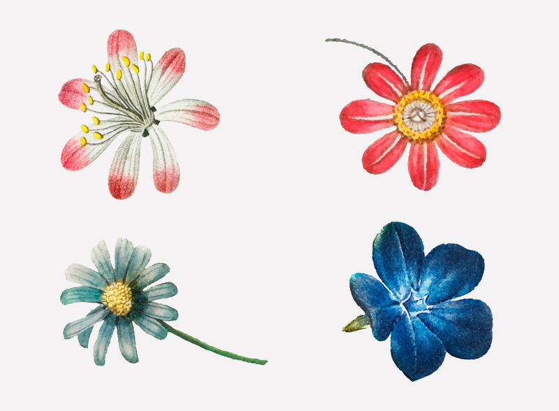 粉色和蓝色花朵矢量套装复古插图