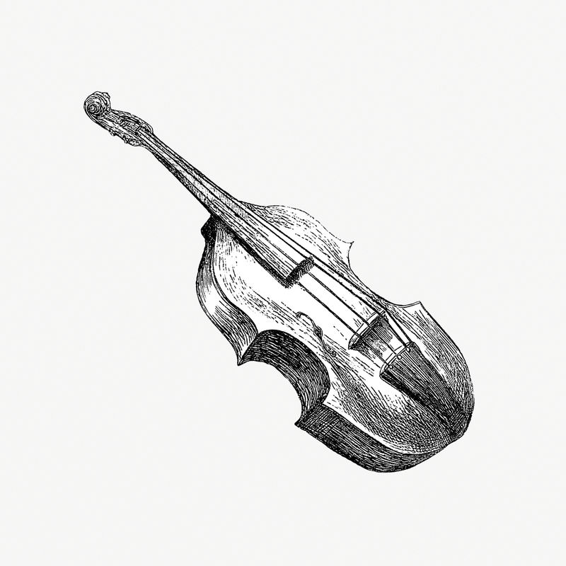 古典小提琴插图