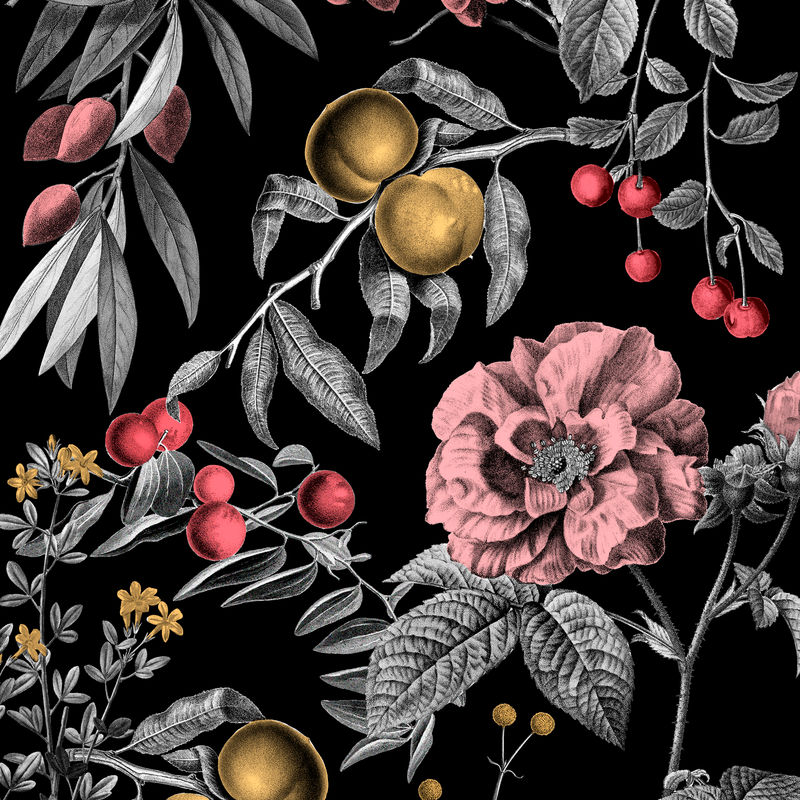 优雅玫瑰花卉图案矢量粉色水果复古插图