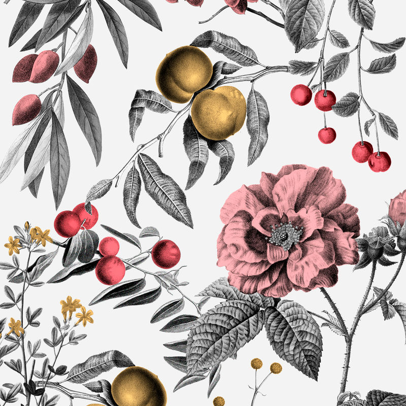 复古玫瑰图案矢量粉色植物和水果插图