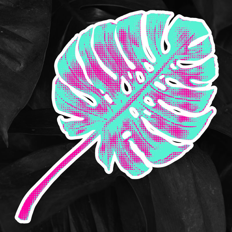 Monstera leaf插图波普艺术风格贴纸