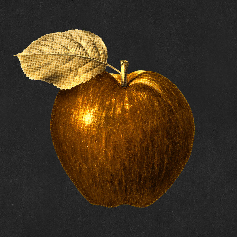 黑色背景插图上的金苹果