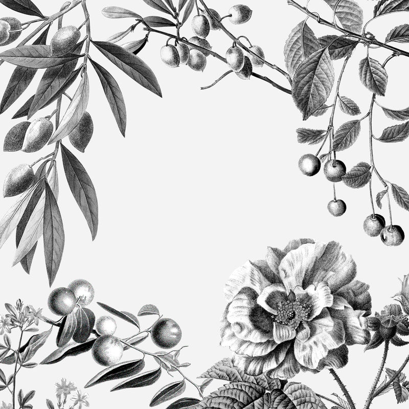 白色背景上的玫瑰色框架复古花卉矢量插图和水果