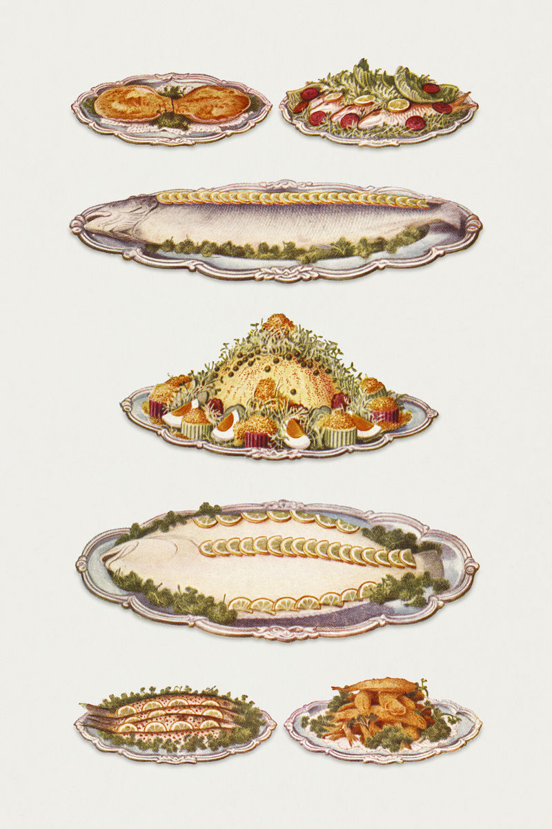 经典海鲜插图：烤扇贝红鲻鱼天然鲑鱼龙虾蛋黄酱大菱鲆河鳟鱼和油炸味道设计资源