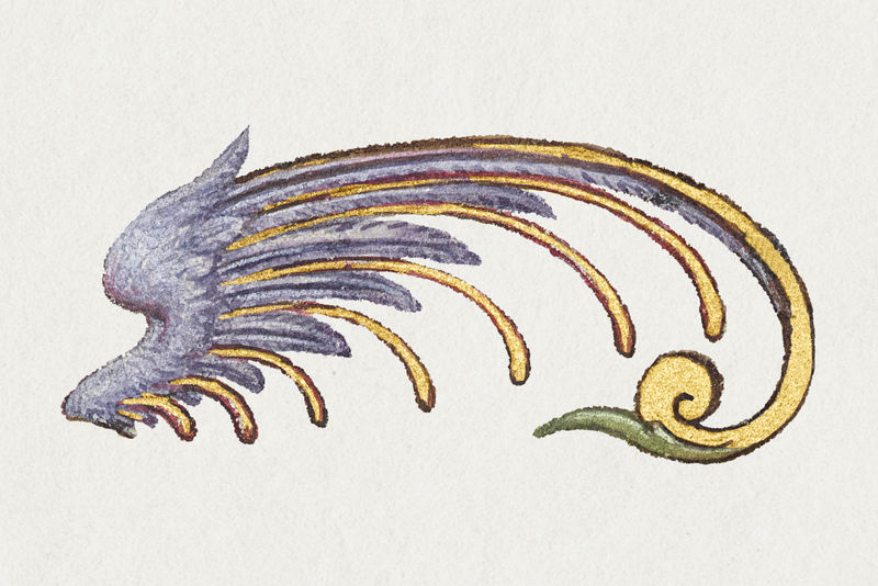 靛蓝神话翅膀绘画装饰