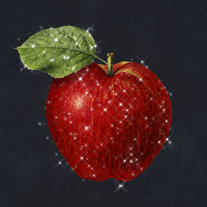 红色闪亮苹果贴纸插图