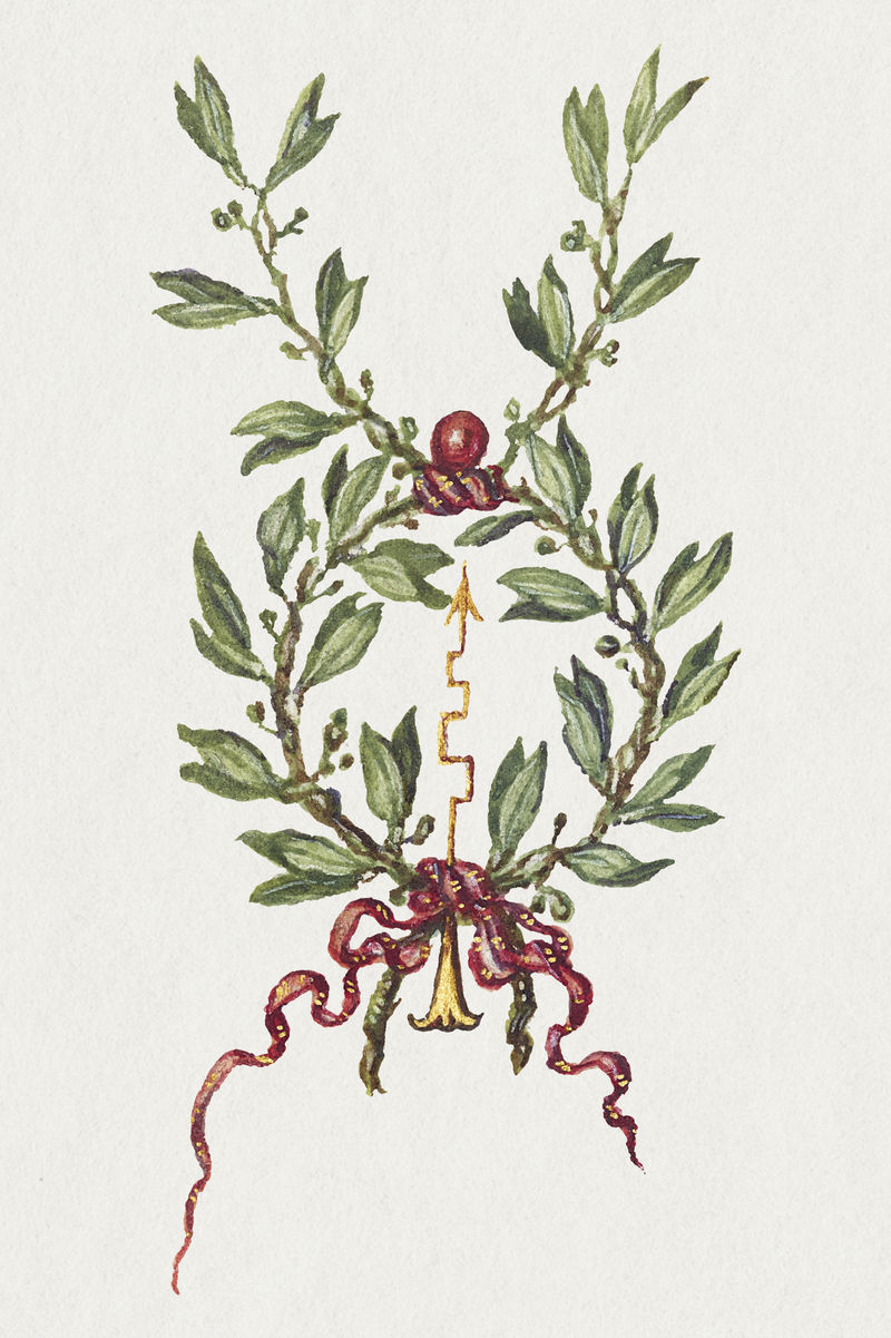 装饰性植物花环插图