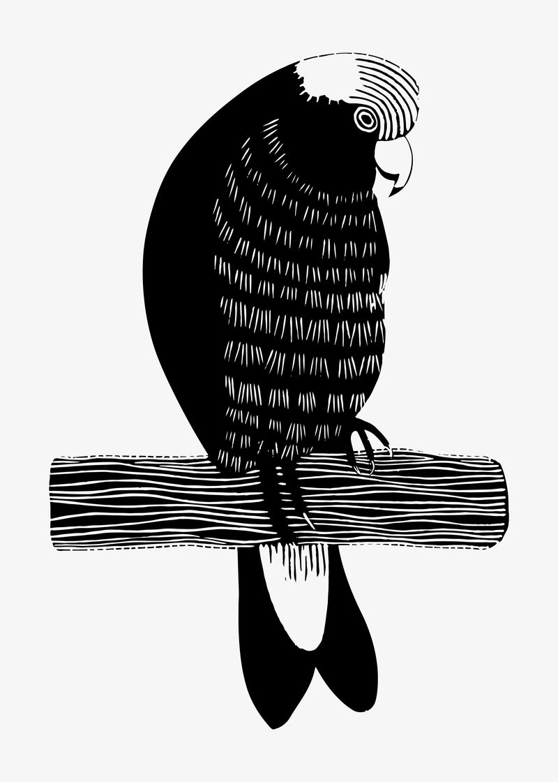 复古galah Cockatos动物艺术印刷载体由Samuel Jessuron de Mesquita的艺术作品混合而成