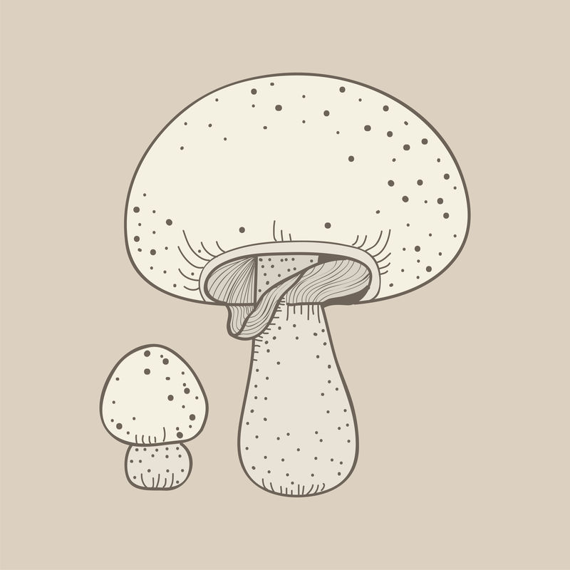 蘑菇病媒