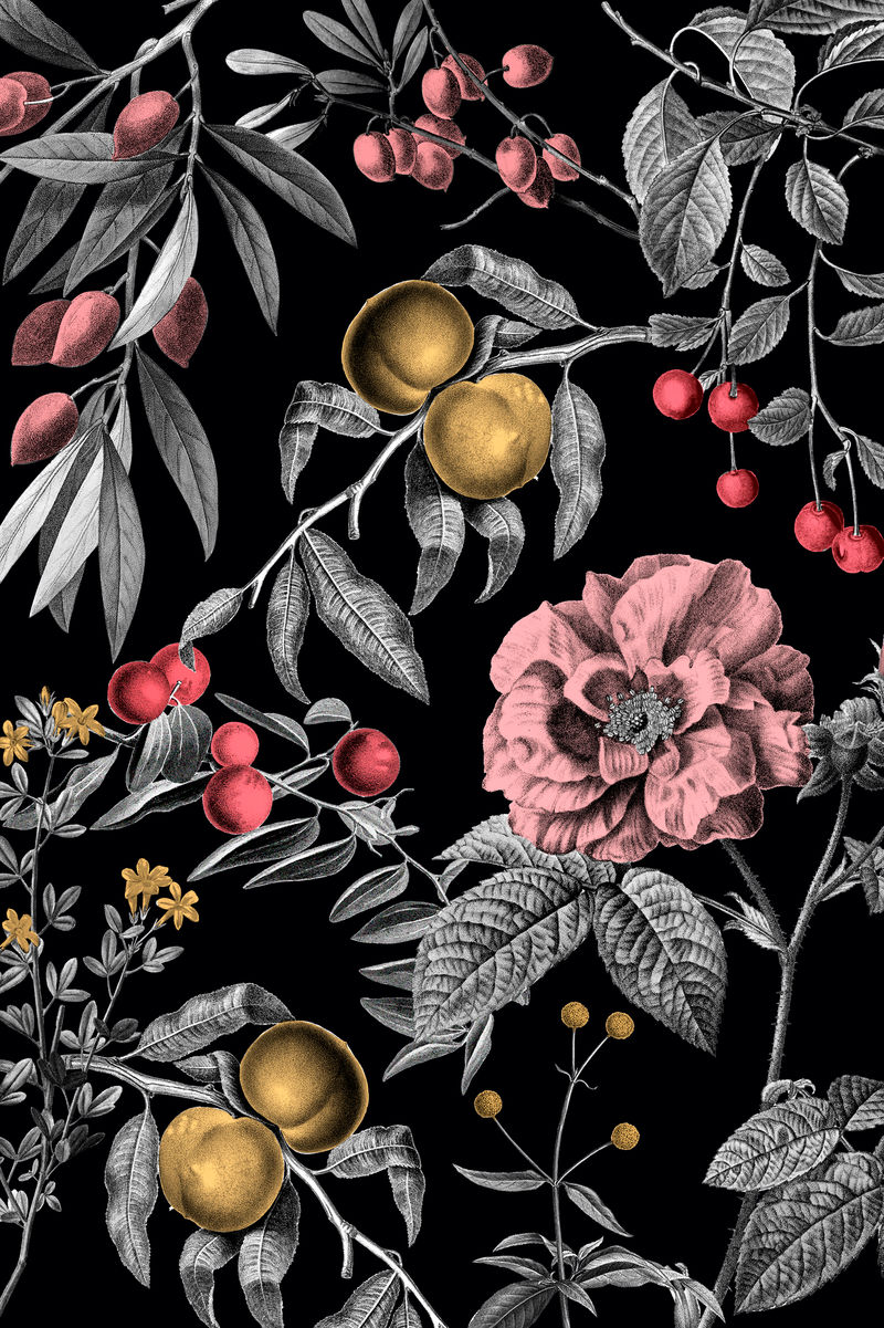 优雅玫瑰花卉图案矢量粉色水果复古插图