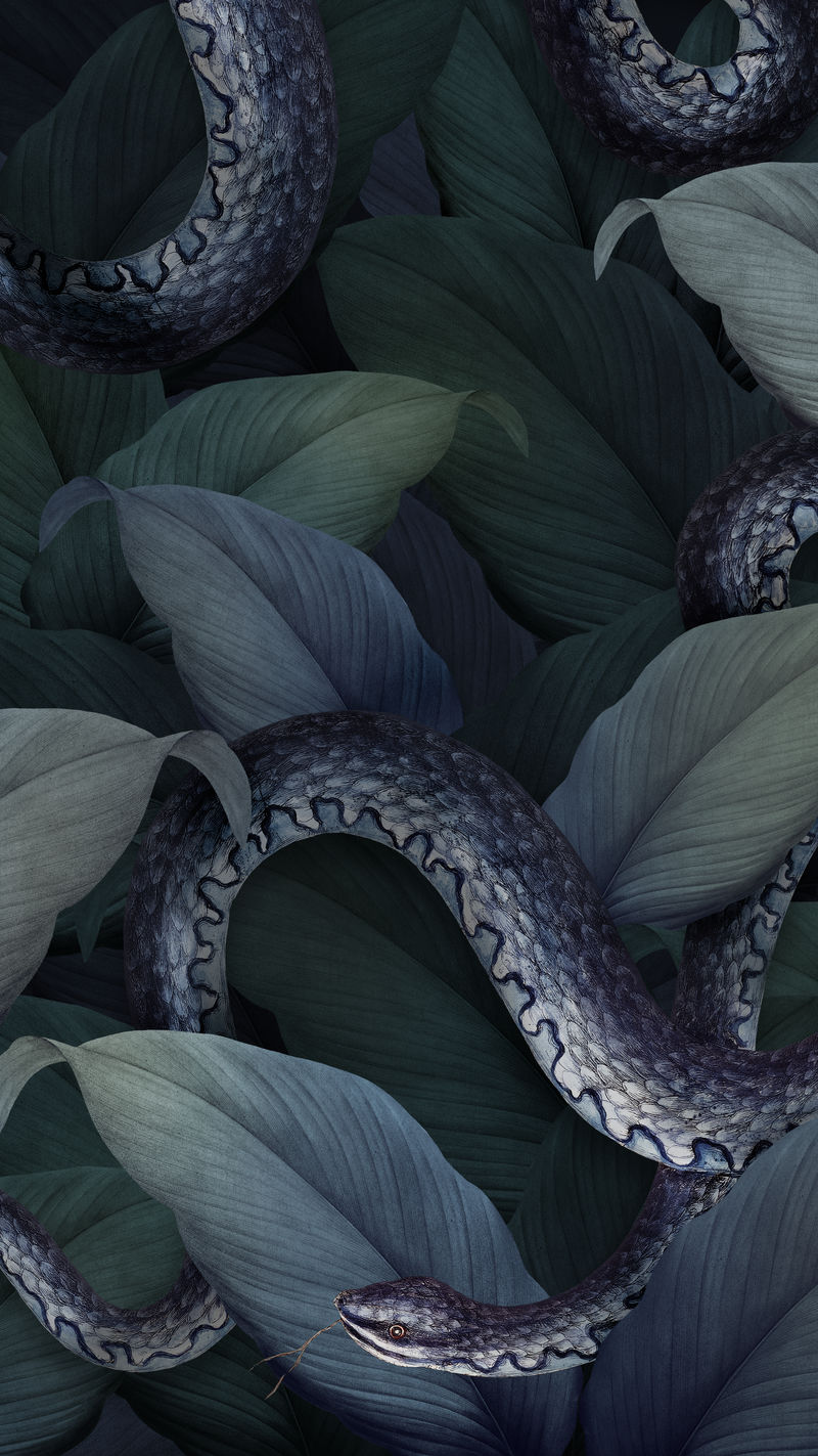 绿叶背景上的蛇