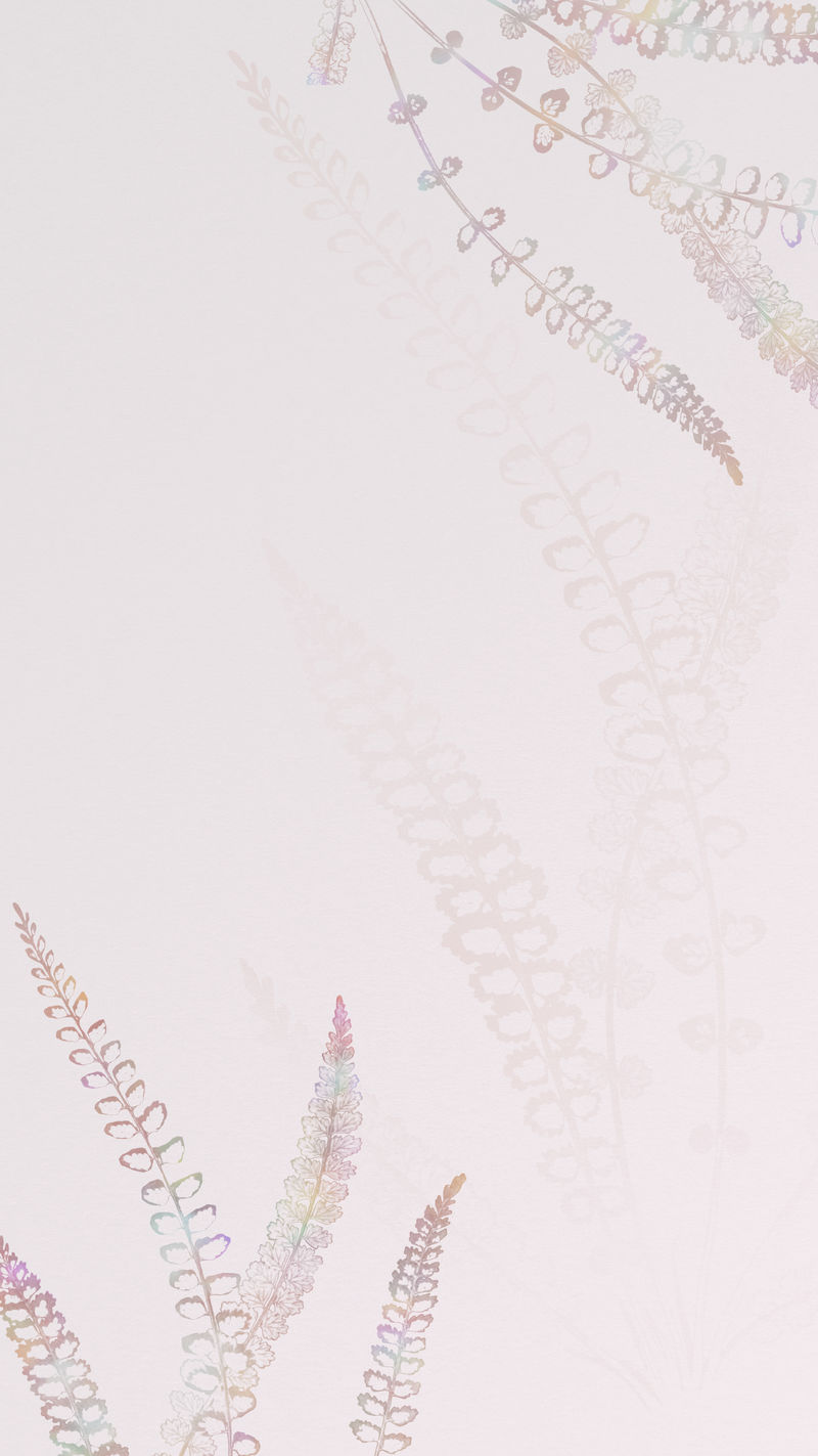 粉红色背景移动壁纸上的Spleenwort蕨类植物框架