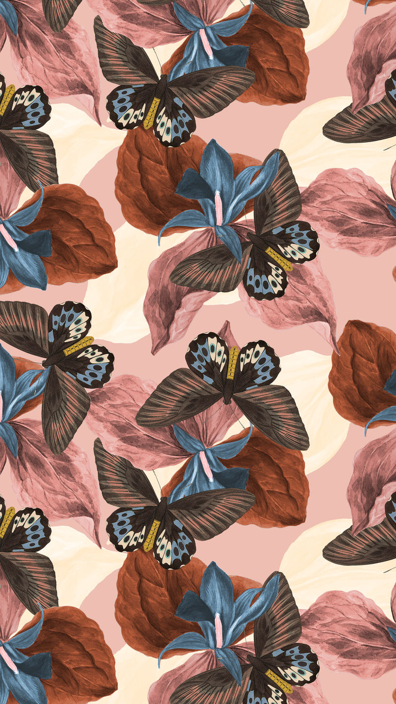 蝴蝶花抽象背景与设计空间混搭自自然者&#x27；乔治·肖的《美国杂集》