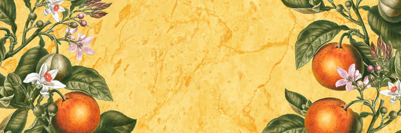黄色大理石纹理向量上的热带橙色