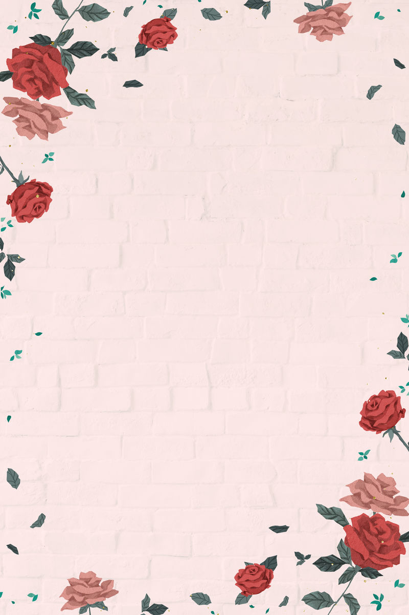 浪漫的情人节玫瑰框架粉色背景