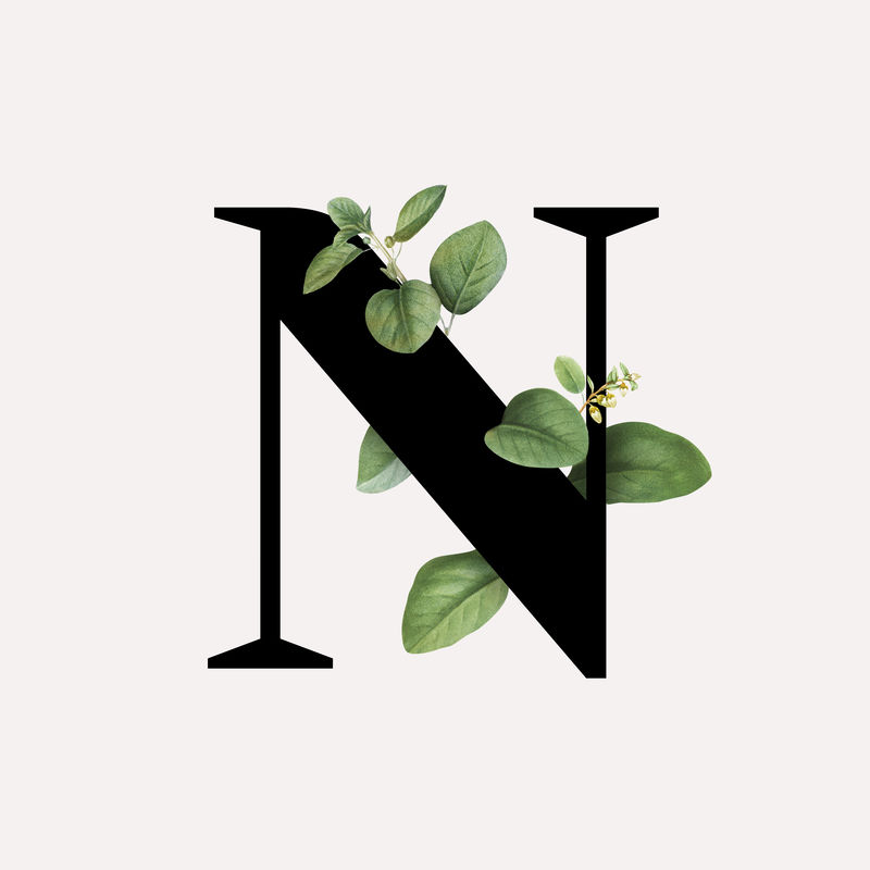 植物学大写字母N插图