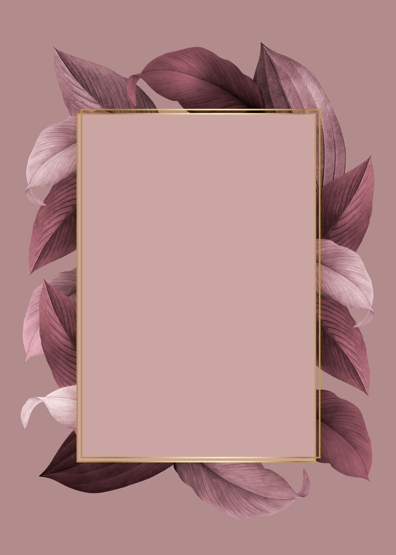 粉红色叶子背景插图上的金色框架