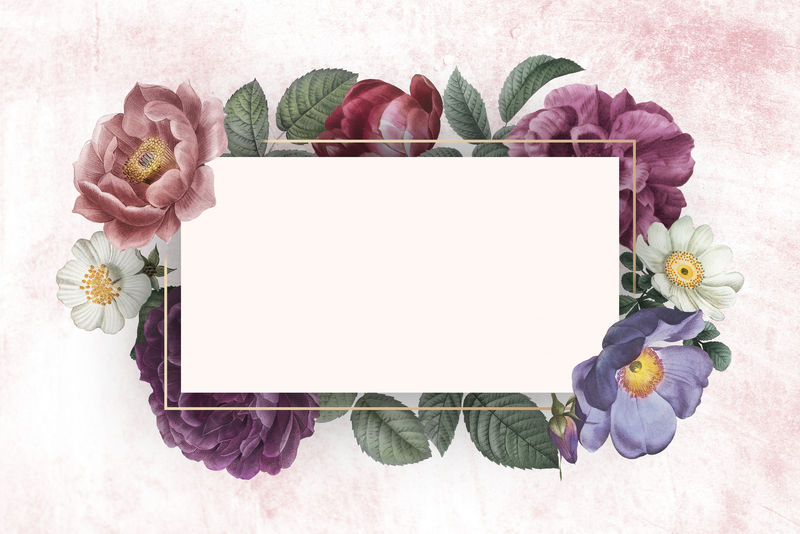 粉色混凝土墙上的花卉横幅插图