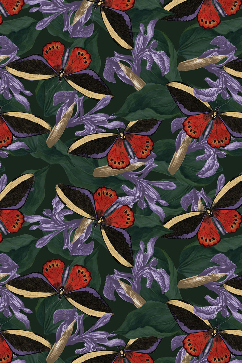 蝴蝶花抽象背景psd带有设计空间由博物学家&#x27混音而成；乔治·肖的《美国杂集》