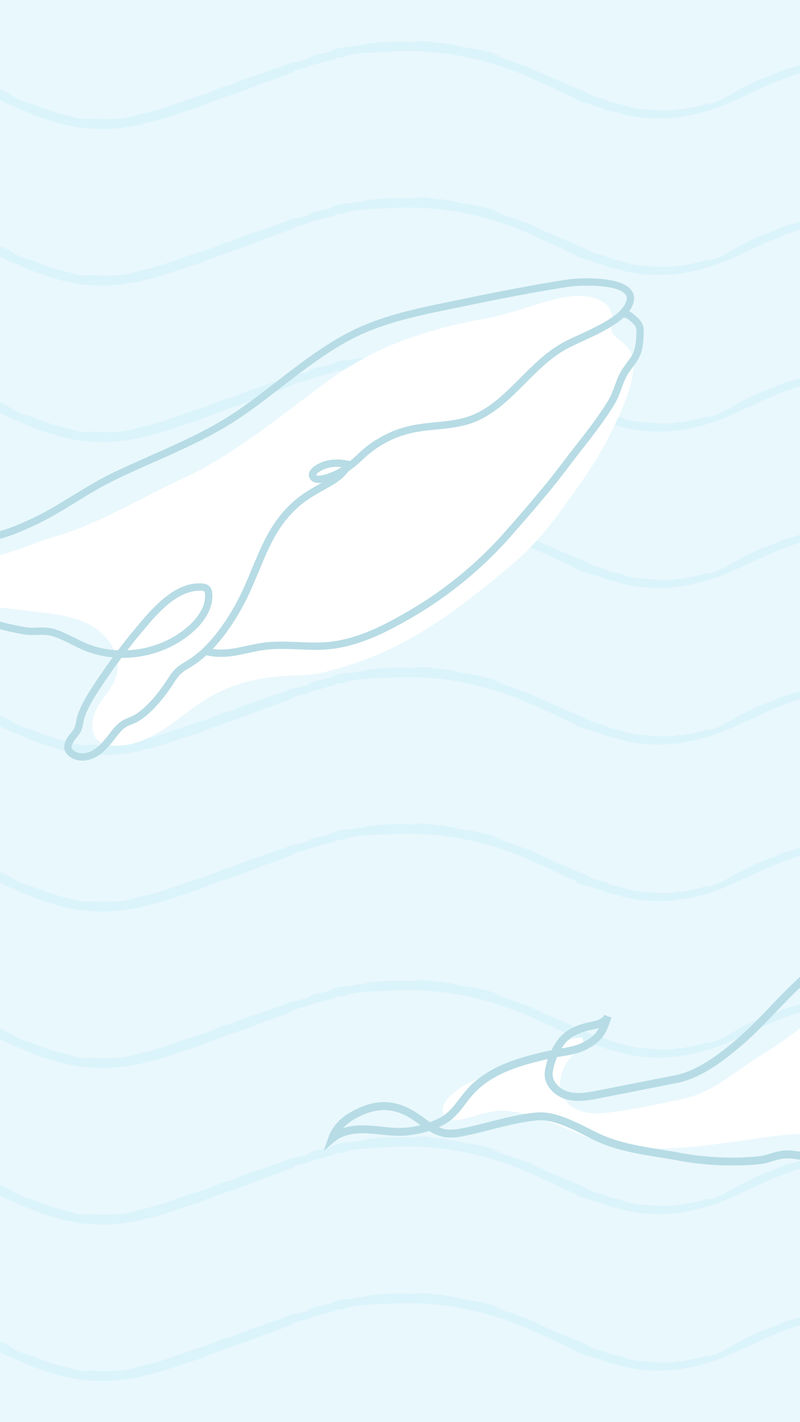 鲸鱼手机壁纸蓝色背景线条艺术动物psd
