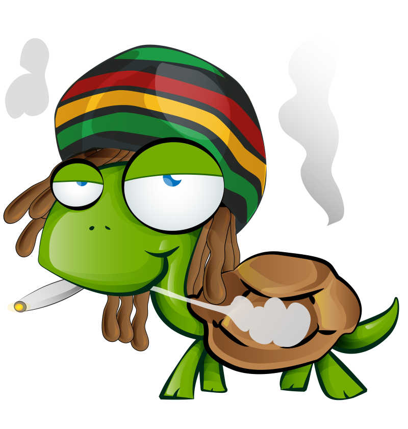 矢量卡通吸烟的乌龟