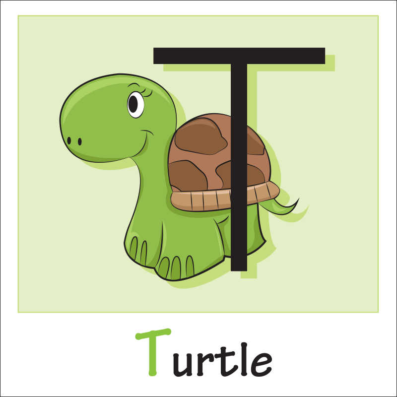矢量卡通乌龟和字母插图