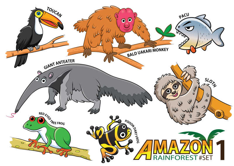 矢量的野生动物插画