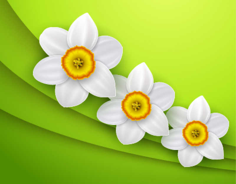 绿色背景上的白色花朵矢量图