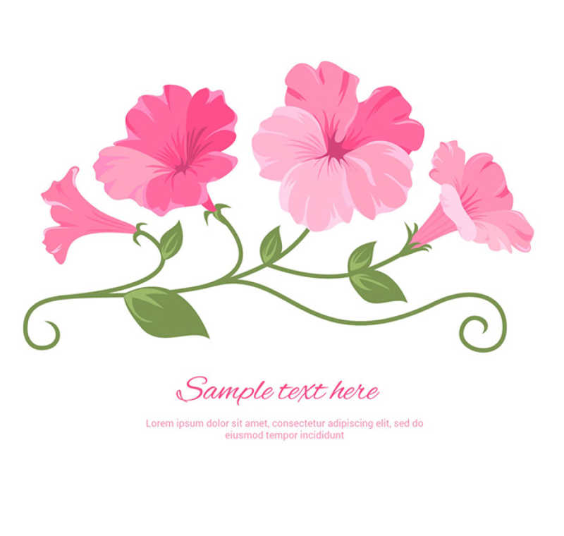 粉色花朵矢量插图