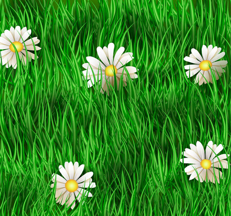 矢量草中的小白花插图