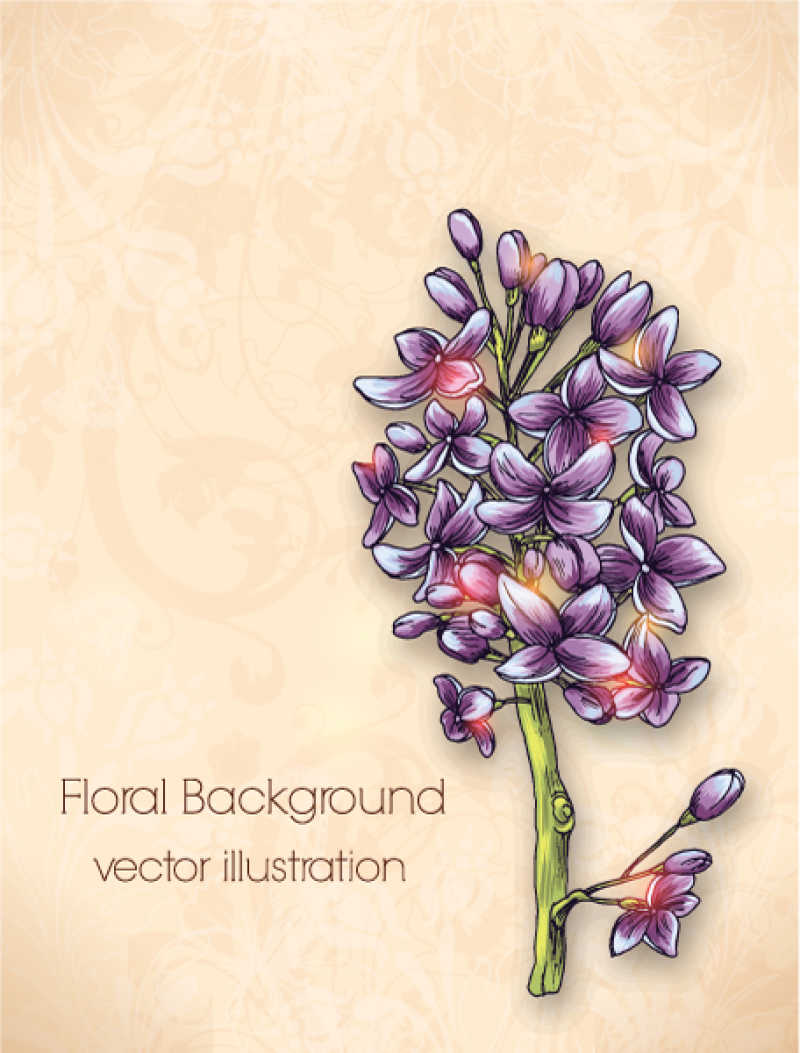 紫色花卉背景矢量插图