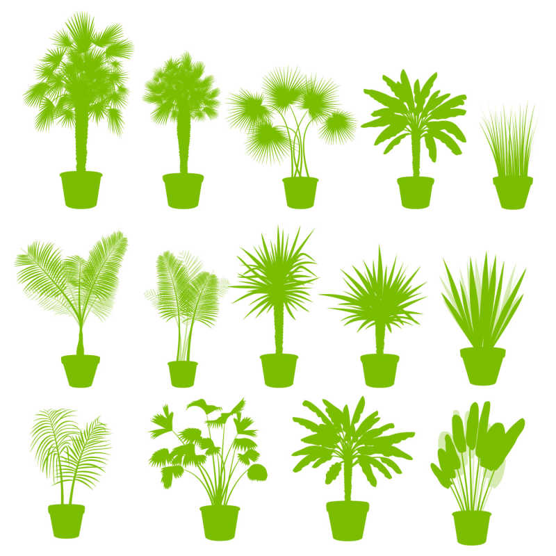 绿色可爱植物剪影的矢量插图