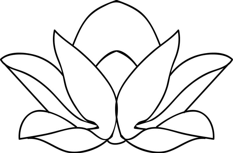 白描莲花的矢量插图