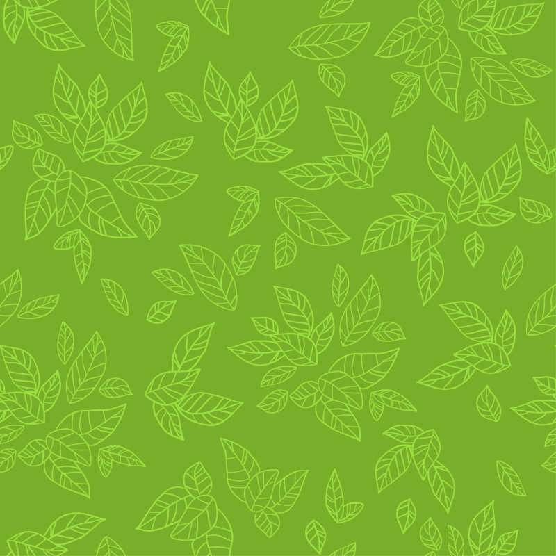 绿色背景的叶子图案无缝矢量插图