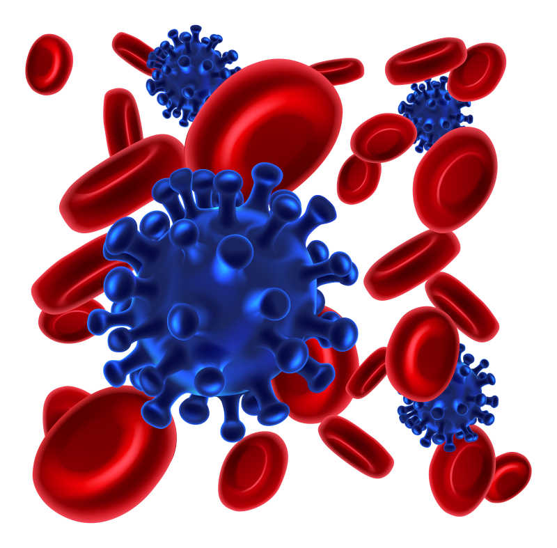 红细胞和病毒矢量插画