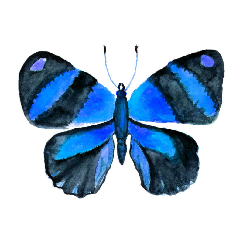 矢量水彩蓝色蝴蝶