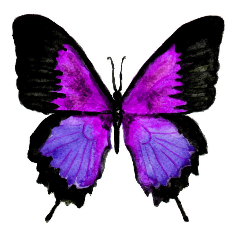 紫色水彩蝴蝶的矢量插图