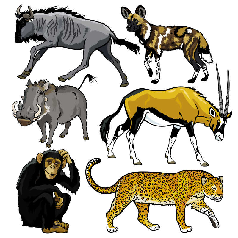非洲动物矢量卡通插图