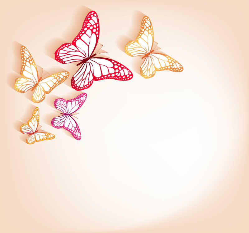 矢量漂亮的蝴蝶插图