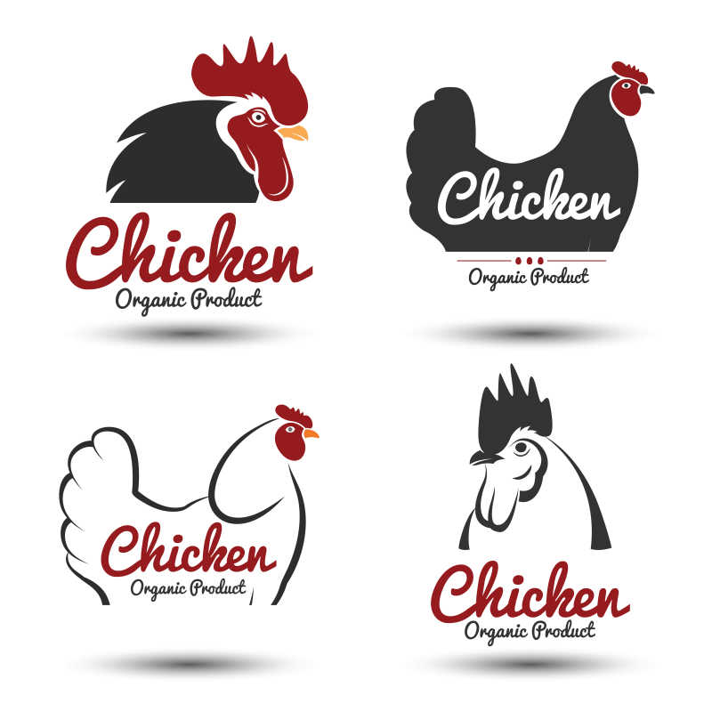 矢量鸡的图形图标设计