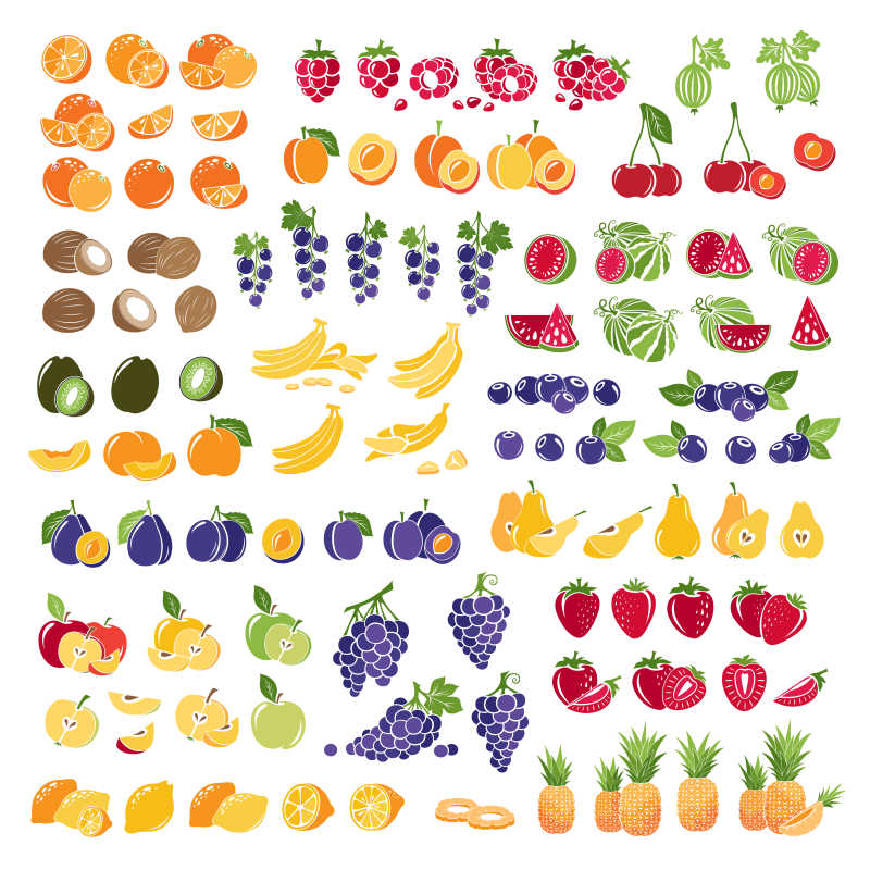 丰富多彩的水果图标失量插图