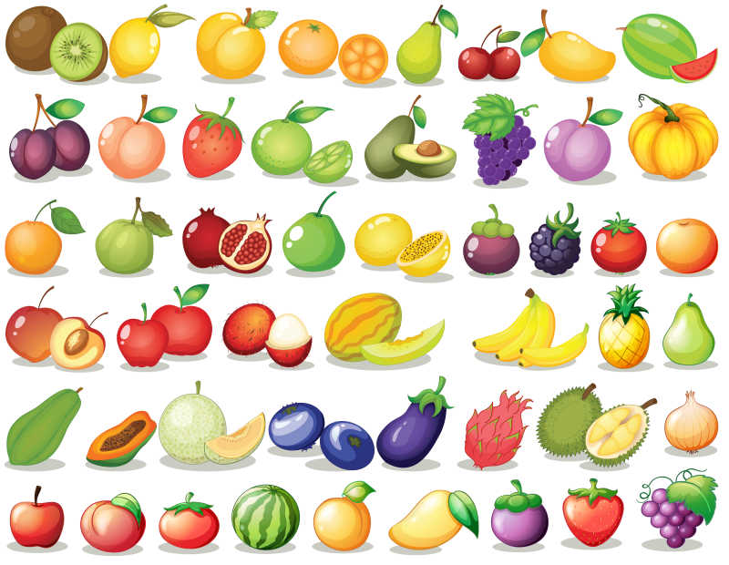 一套水果的矢量插图