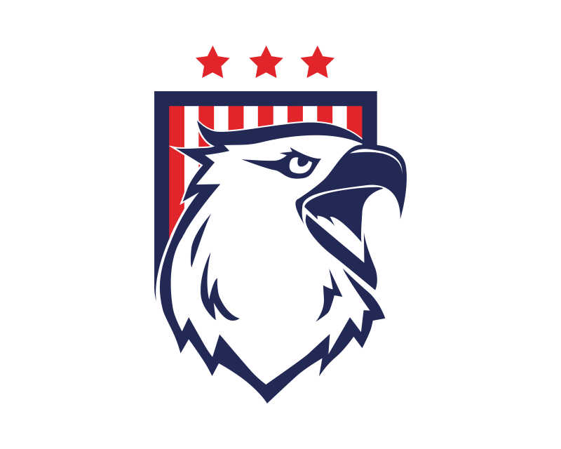矢量美国老鹰的图案标志设计